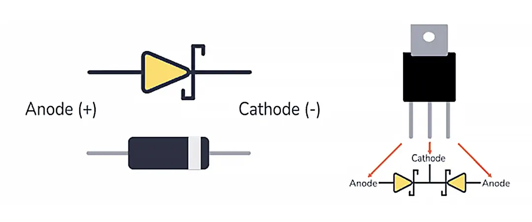 diode polarity
