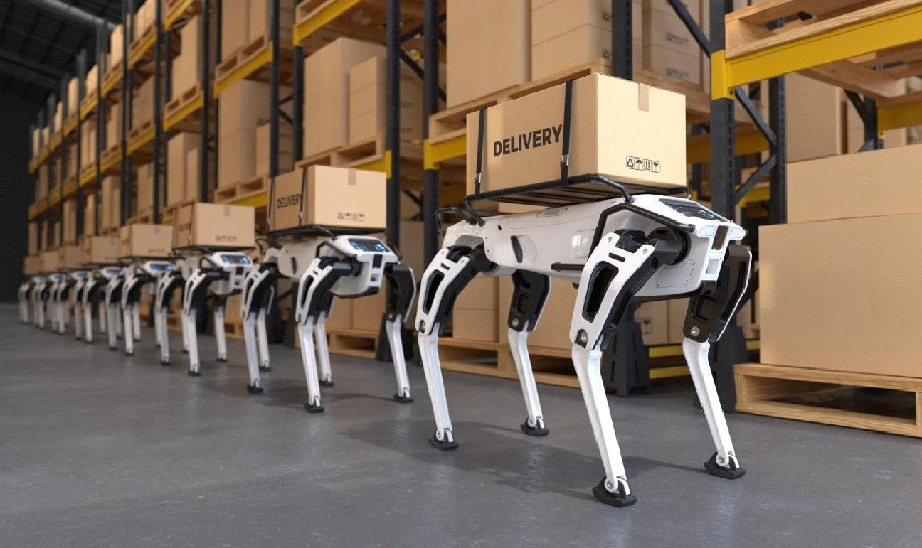 Edge computing application in autonomous robots